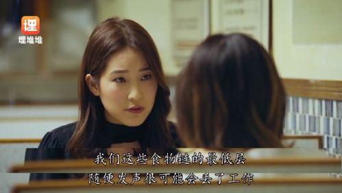 娱乐圈吃瓜小说免费阅读,瓜田里的秘密花园