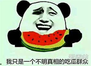 吃瓜娱乐团,揭秘娱乐圈幕后故事，带你领略明星真实生活