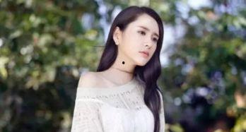 娱乐圈吃大瓜小说夏琪,娱乐圈风云变幻，揭秘大瓜背后的真相
