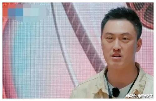 娱乐圈吃瓜兄弟是谁啊,揭秘神秘组合背后的故事