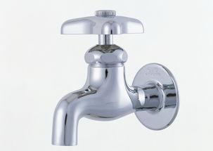 娱乐吃瓜君水龙头飞天,揭秘水龙头飞天的神奇事件