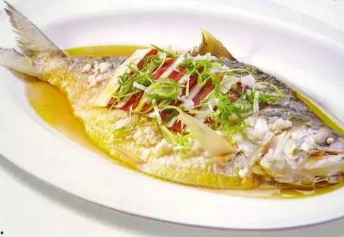 娱乐吃瓜酱养鱼