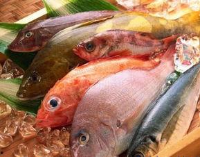 娱乐吃瓜酱养鱼